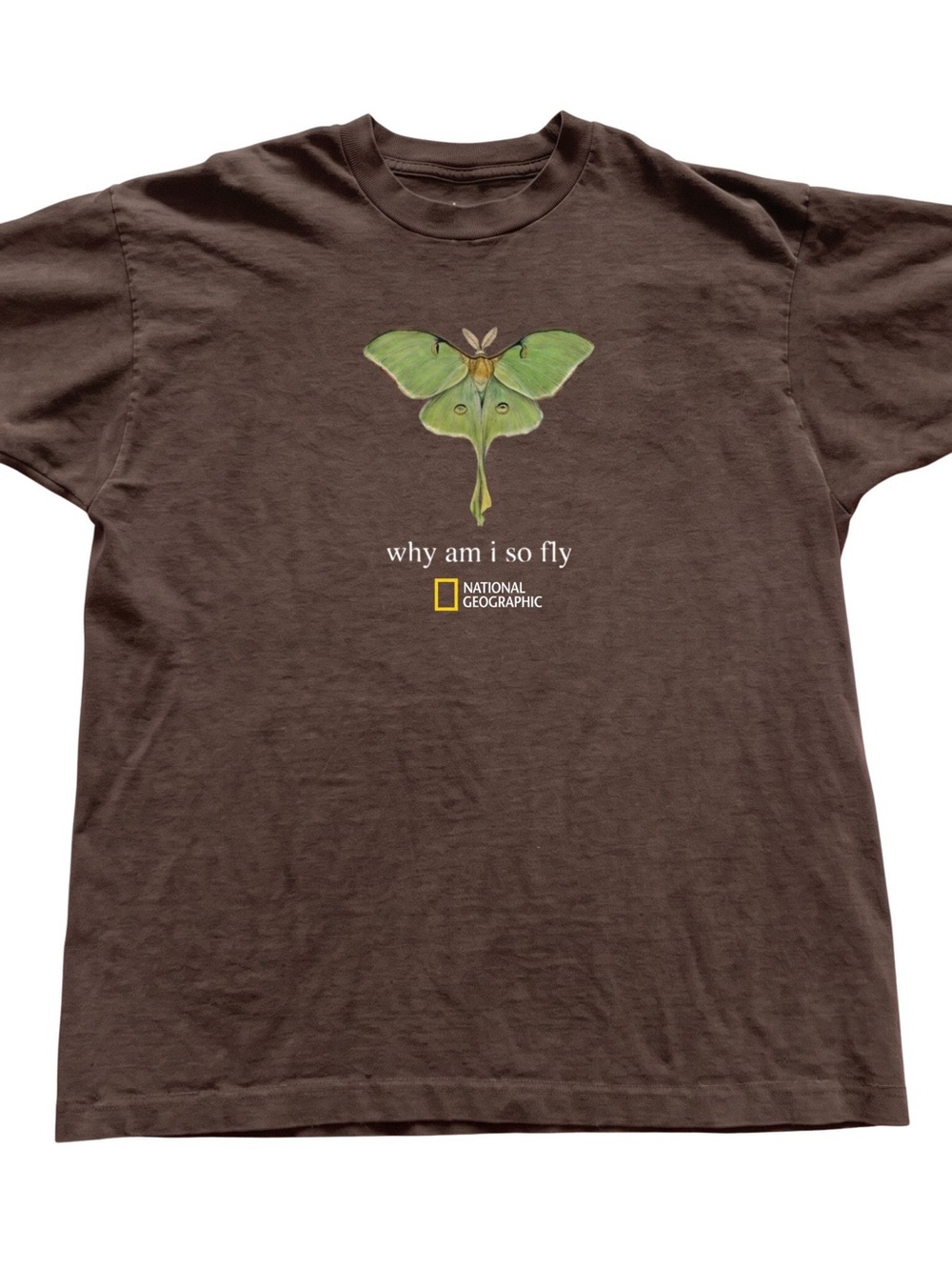 Gildan National Geographic Moth Graphic Tee
